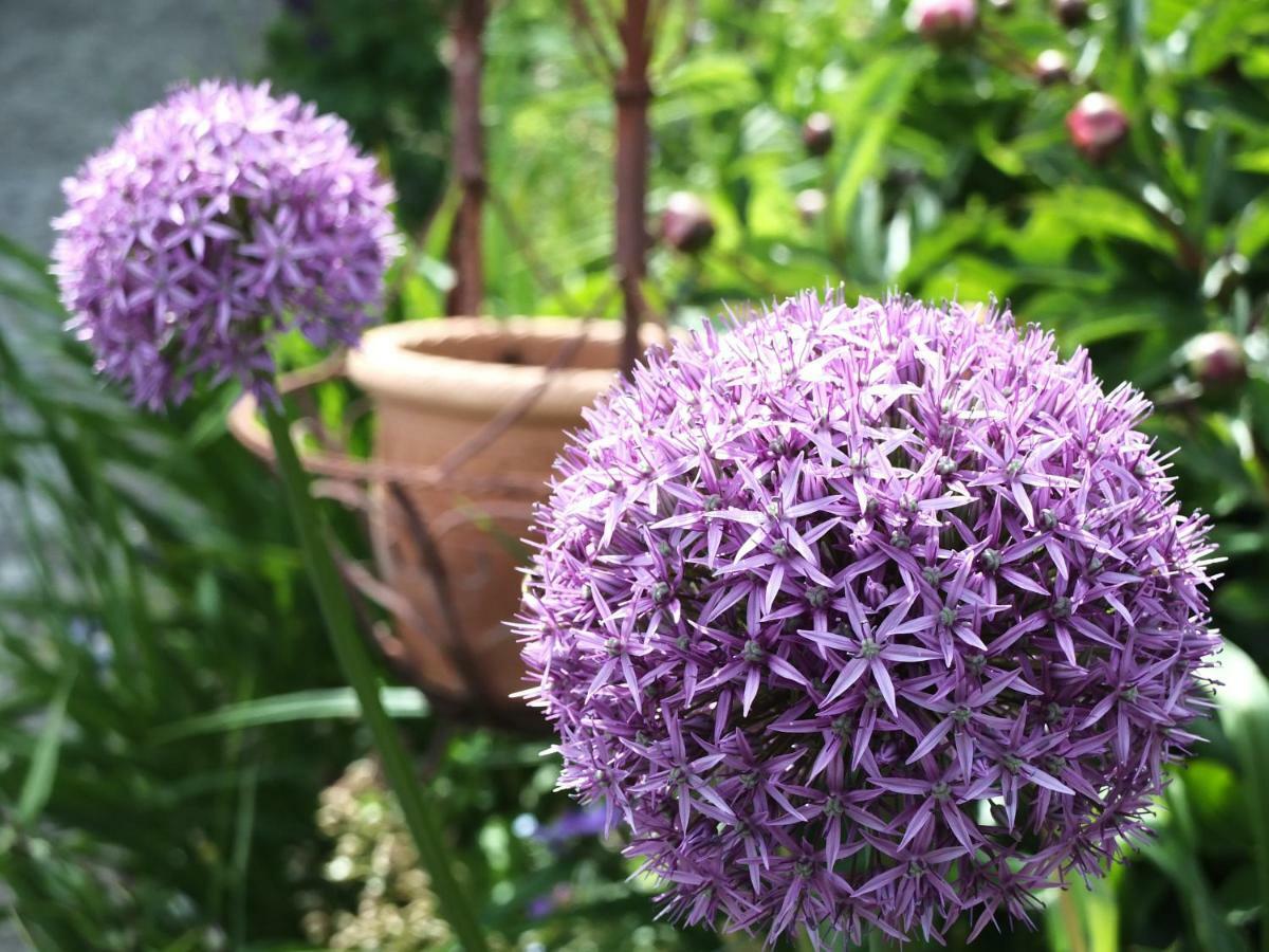 Ferienhaus In Der Schlipfing Mit Garten Altmünster Zewnętrze zdjęcie