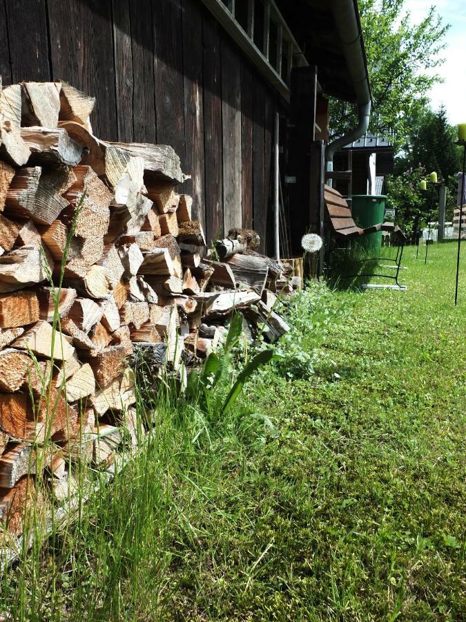 Ferienhaus In Der Schlipfing Mit Garten Altmünster Zewnętrze zdjęcie