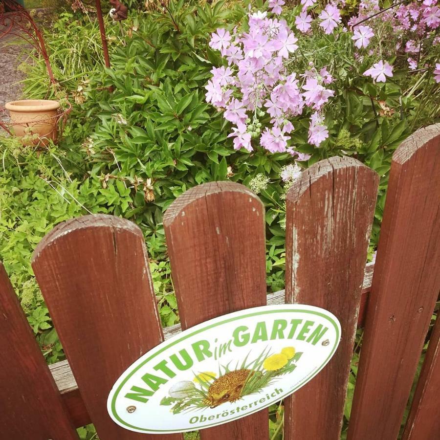 Ferienhaus In Der Schlipfing Mit Garten Altmünster Zewnętrze zdjęcie